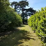 Chateau De L'allee *