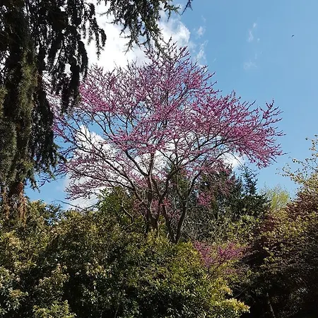 Chateau De L'allee Couette-café Gontaud-de-Nogaret