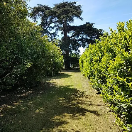 Chateau De L'allee *