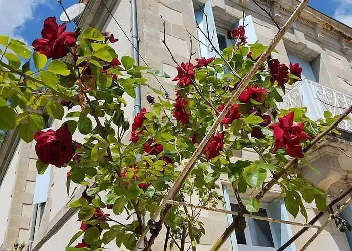 Oda ve Kahvaltı Chateau De L'allee *