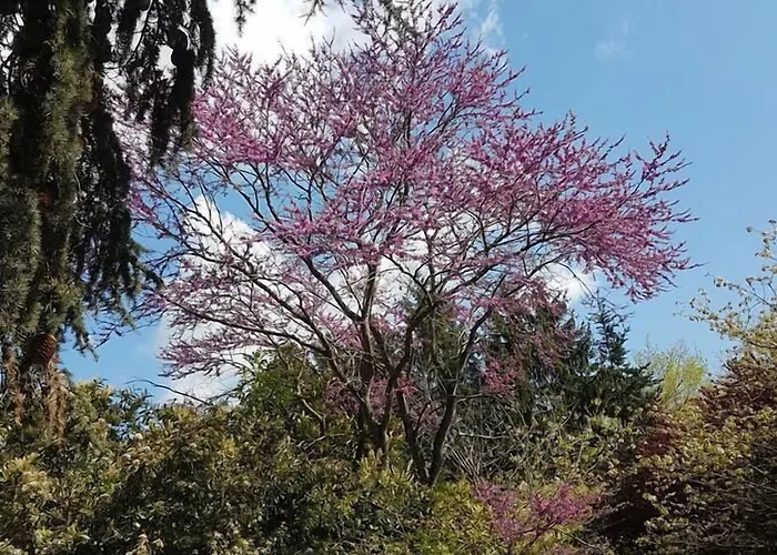 Oda ve Kahvaltı Chateau De L'allee Gontaud-de-Nogaret