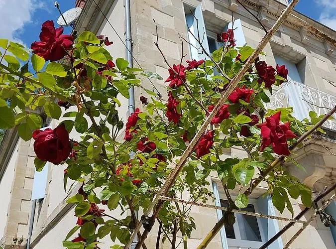 Chateau De L'allee * Gontaud-de-Nogaret