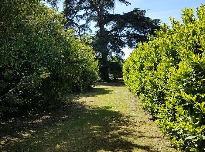 Chateau De L'allee *